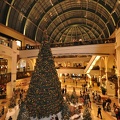 Christmas Tree in the Main Atrium